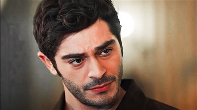 article