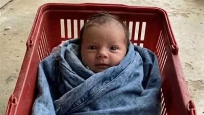article